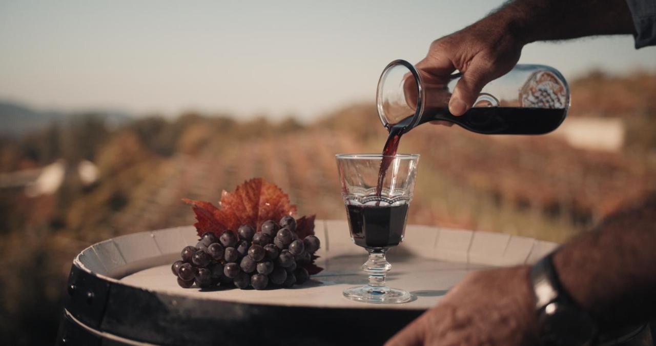 منزل الضيف Tomaj  في Skerlj Wine Estate المظهر الخارجي الصورة