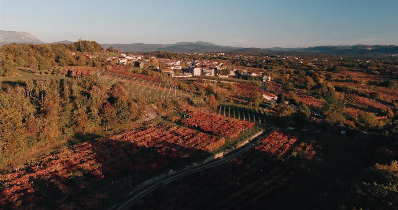 منزل الضيف Tomaj  في Skerlj Wine Estate المظهر الخارجي الصورة