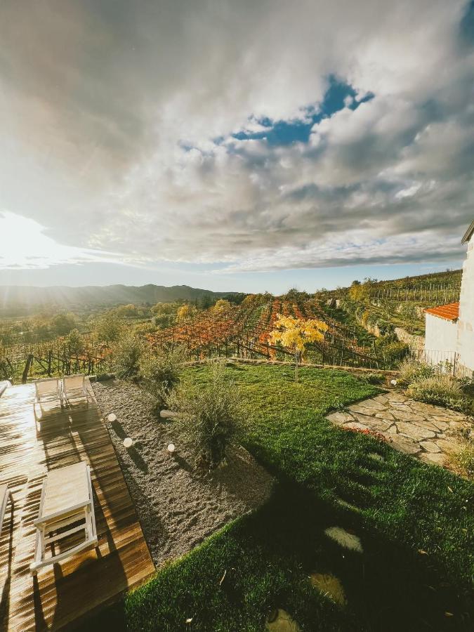 منزل الضيف Tomaj  في Skerlj Wine Estate المظهر الخارجي الصورة